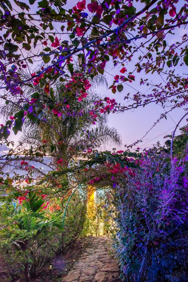 Sunset Palm Lodge Сан-Хиль Экстерьер фото